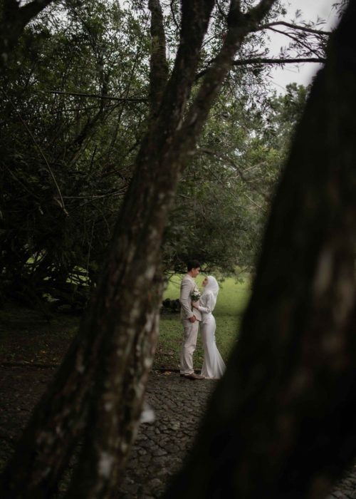 dsc_0854-1_2_11zon-1771931399563-FhngIF