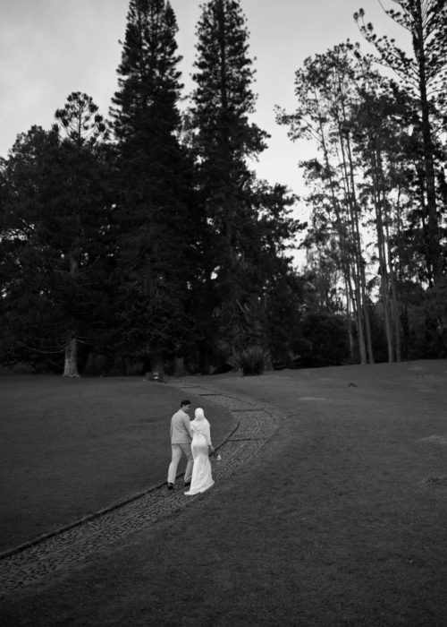 dsc_1477_2_11zon-1771931399567-aHlUfG